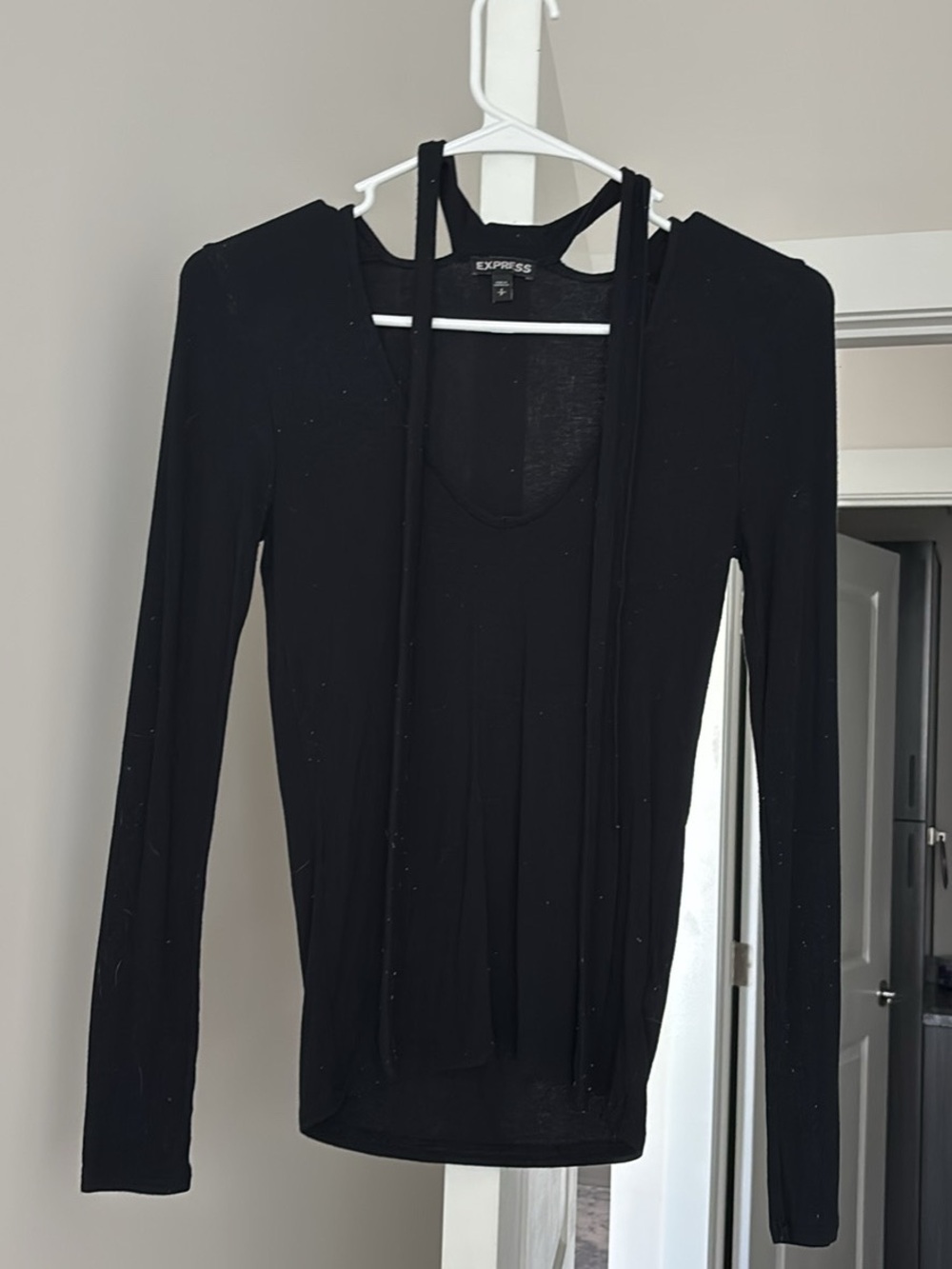 Express Black Long-Sleeve Hooded Scoop Neck Top